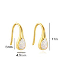 Personalized Teardrop Elegance Ashes Earrings