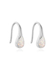 Teardrop Elegance : Ashes Earrings