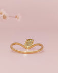 Abraza la elegancia: Anillo de cenizas