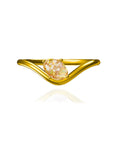 Abraza la elegancia: Anillo de cenizas