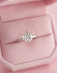 Celestial Spark: Round Cut Moissanite Ashes Ring
