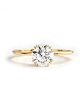 Fountain Spark: Round Cut Moissanite Ashes Ring  Set