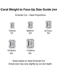 Elegant Brightness: Emerald Cut Moissanite Ashes Ring