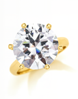 Celestial Spark: Round Cut Moissanite Ashes Ring